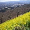 まったり・・・・のはずがタップリな房総半島ツーリング