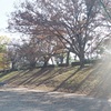 かも川
