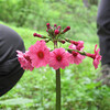 森林植物園へ