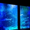 訪園館：マリンワールド海の中道