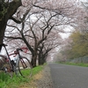 久々のロードバイクで春を感じに