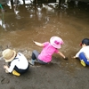 大きな大きな水溜り