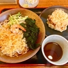 そば政【蕎麦政】（足立区南花畑 六町駅） 冷したぬきそば＋かき揚げ