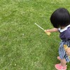 買い物待ちのひとコマ。しましまの魚と、準備不足で挑んだ砂浜遊び