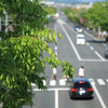 　岡山市北区大内田の風景写真 - 横断歩道
