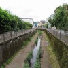 善福寺川上流端_美濃山橋（東京都杉並区）