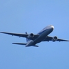 「ＡＮＡ機」に纏わる駄洒落話