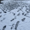 【東京で雪！】大雪警報が出た東京の状況