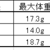 2023/4/19  大型・極太系オオクワガタ、種選別漏れ♀（越冬即ブリ）