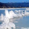 見られるのは運次第❓湖が凍り芸術に