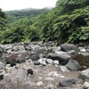 2020.7.16 栃木県釣り遠征2日目〜大谷川上流域