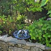 石積み花壇の模様替え計画Part1　青花のアジサイと憧れのホスタと植えたかったカシワバアジサイ