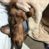 眠くてモゾモゾ