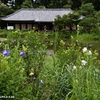 浄瑠璃寺