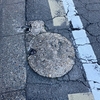 【マンホール蓋】京都市⑤