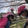 今年度初の運動公園