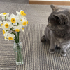 お花が長持ち