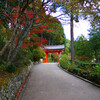 明星山 三室戸寺