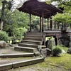 京都ぶらり　名勝庭園　渉成園 Ⅱ