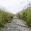 箱根仙石原すすき草原のすすきがそろそろ見頃を迎えそうです。