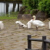 2024-06-06(Thu)