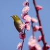 水月公園