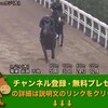 競馬無双で競馬予想！スプリンターズステークス 【競馬調教】 シュウジ調教動画　「競馬レース結果ハイライト」2016年≪競馬場の達人,競馬予想≫JRA-VAN対応競馬ソフト