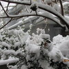 ２．１４．（金・大雪）再びの大雪。東証大幅続落。