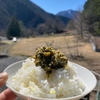 今春のフキノトウ味噌を味わう幸せ
