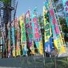 大相撲の興行のぼり