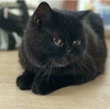 北海道マラソン　スタートまで