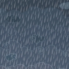 ひさかたの雨は降りしけ思ふ子が･･･巻第6-1040