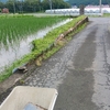 梅雨の合間、、、