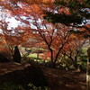 紅葉狩り at 東谷山