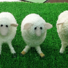 《毛糸で羊を作ろう》講習会で出来た羊さんたちです。