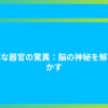 複雑な器官の驚異：脳の神秘を解き明かす