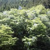 道の駅大滝温泉（埼玉県秩父市）