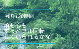 記事を見る