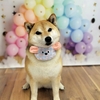 ★りんちゃん★