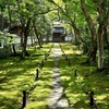 【世界遺産】苔寺（西芳寺）、拝観料はちょっと高いけど、苔庭満喫！（京都・洛西）