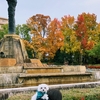 犬とお散歩、紅葉を探しに服部緑地公園へ