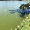 今週の釣果報告①🎣茨城県水戸市某池