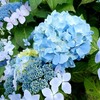 急成長コンテンツ登場！　【写真AC】ストックフォト・クリエイターへの道（運用開始9か月）
