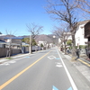 甲府・武田神社、再訪