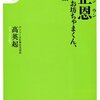 金正恩 核を持つお坊ちゃまくん、その素顔 (宝島社新書) [新書] 高 英起 (著)