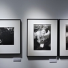 【写真展】2024.9/3-15＿山形紗織「吹き溜まりの種」＠ギャラリー・ソラリス