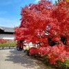 そうだ京都に行こう　紅葉を見に山科の勧修寺へ