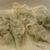 水餃子は飲み物です