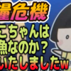 【食糧危機】あいこちゃんは天然魚なのか？確認いたしましたw