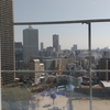三途の川でまたも溺れる